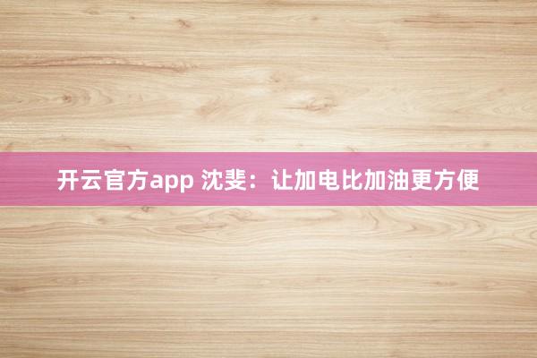 开云官方app 沈斐：让加电比加油更方便