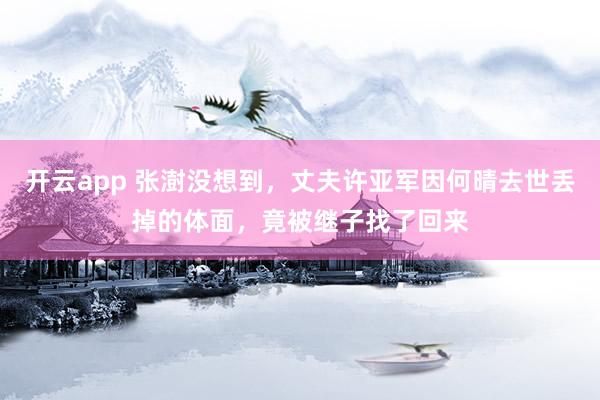 开云app 张澍没想到，丈夫许亚军因何晴去世丢掉的体面，竟被继子找了回来