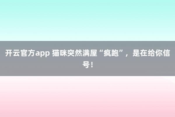 开云官方app 猫咪突然满屋“疯跑”，是在给你信号！