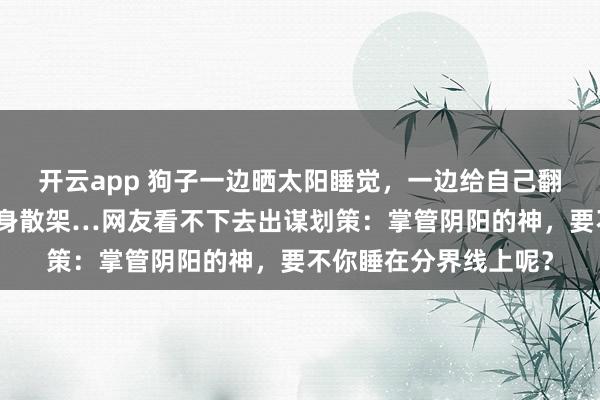 开云app 狗子一边晒太阳睡觉,一边给自己翻面,一觉醒来累得浑身散架…网友看不下去出谋划策:掌管阴阳的神,要不你睡在分界线上呢?