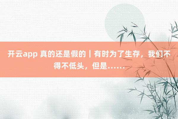 开云app 真的还是假的|有时为了生存,我们不得不低头,但是……