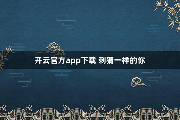 开云官方app下载 刺猬一样的你