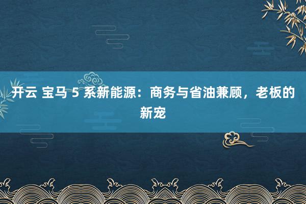 开云 宝马 5 系新能源:商务与省油兼顾,老板的新宠
