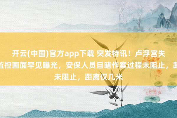 开云(中国)官方app下载 突发特讯！卢浮宫失窃案最新监控画面罕见曝光，安保人员目睹作案过程未阻止，距离仅几米