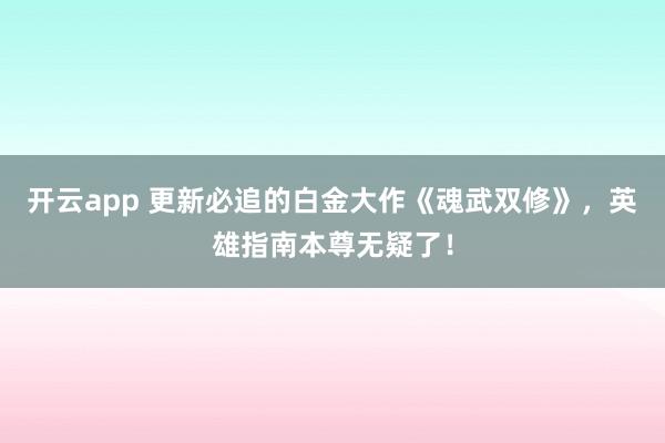 开云app 更新必追的白金大作《魂武双修》，英雄指南本尊无疑了！