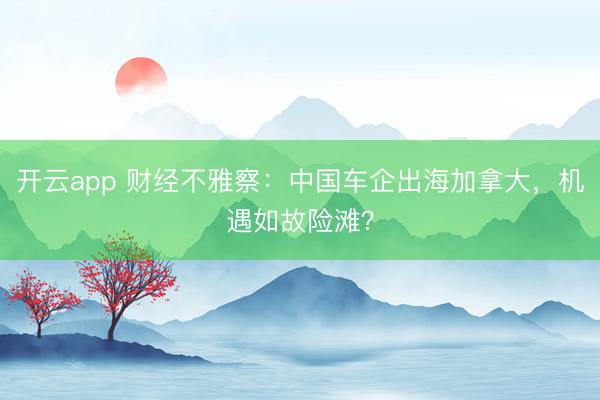 开云app 财经不雅察：中国车企出海加拿大，机遇如故险滩？