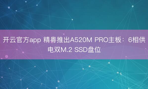 开云官方app 精粤推出A520M PRO主板:6相供电双M.2 SSD盘位