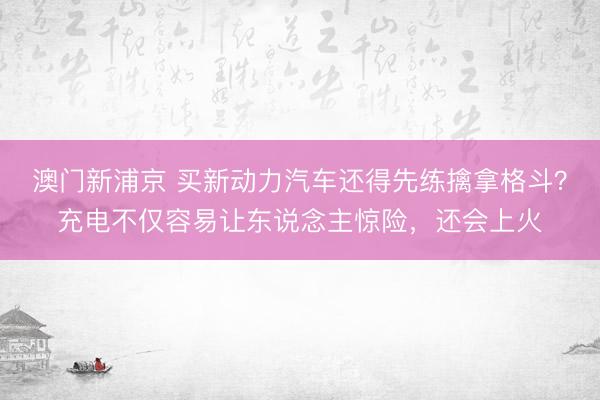 澳门新浦京 买新动力汽车还得先练擒拿格斗？充电不仅容易让东说念主惊险，还会上火