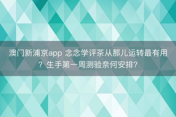 澳门新浦京app 念念学评茶从那儿运转最有用？生手第一周测验奈何安排？